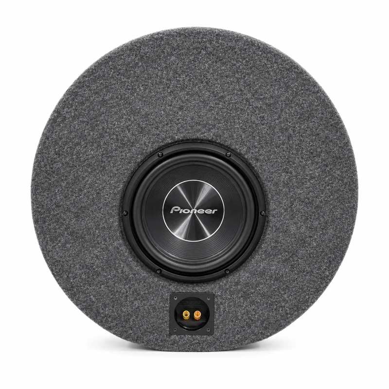 Pioneer TS-A250D4 i Felga 16" reservhjulsbaslåda – 10" - DEMO