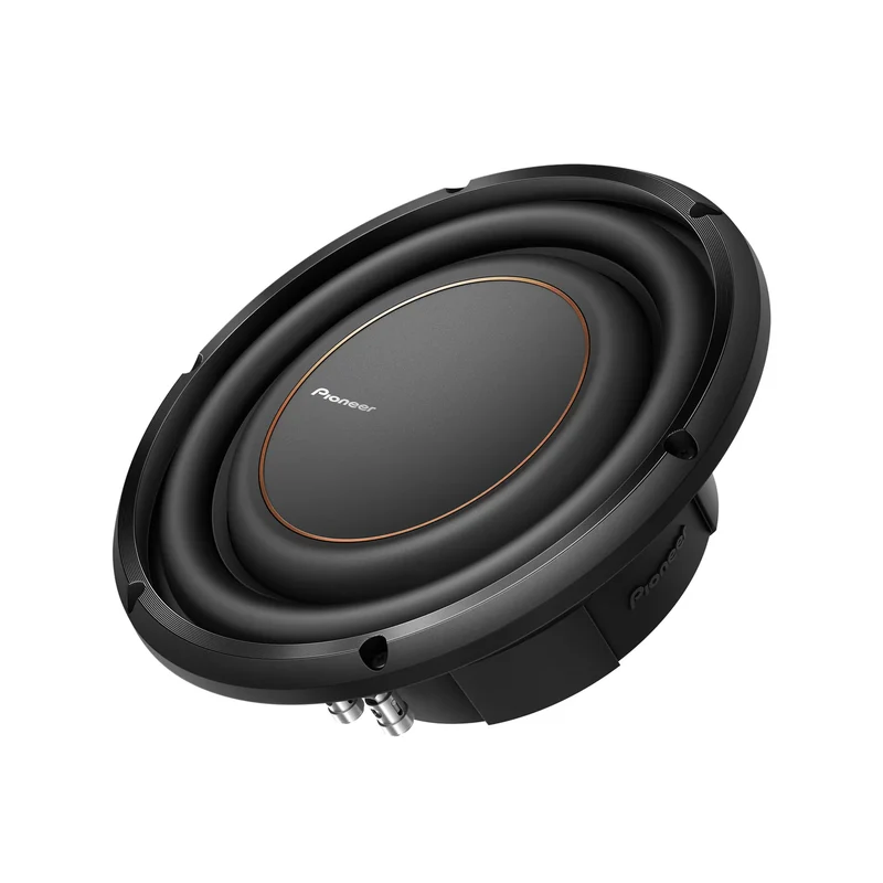 Pioneer TS-D10LS2
