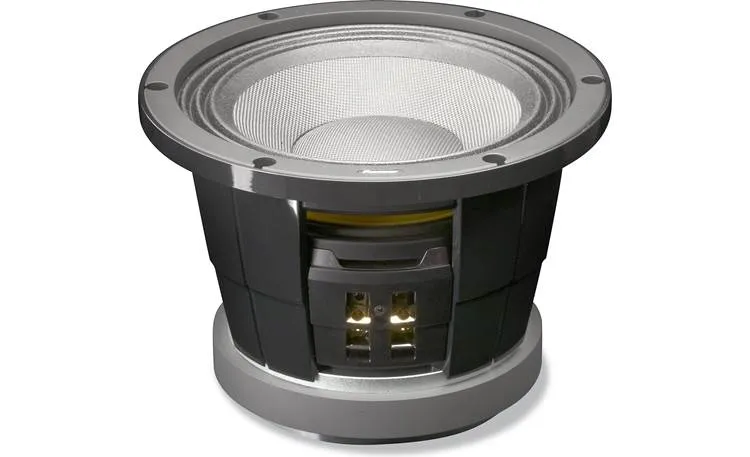 Pioneer TS-W252PRS