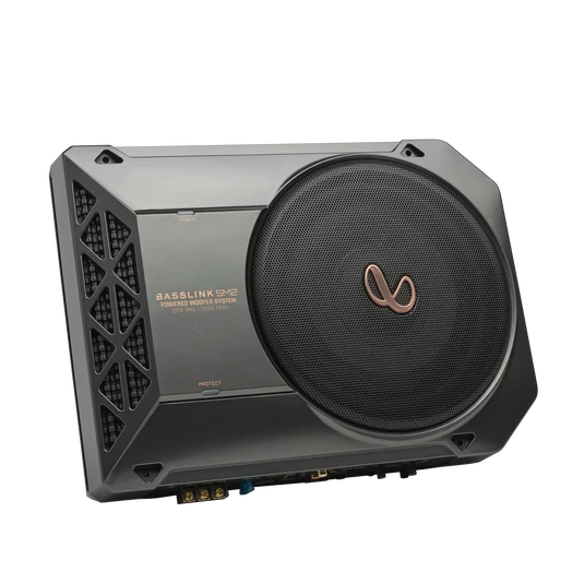 Infinity Basslink SM2