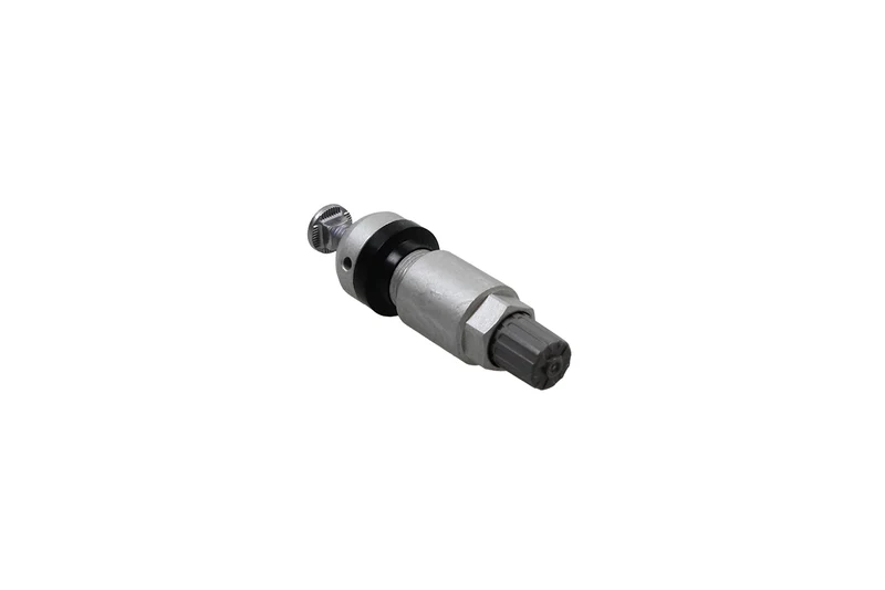 Valve insert for TPM sensor